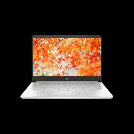 HP EliteBook 855 G7 Series Laptop